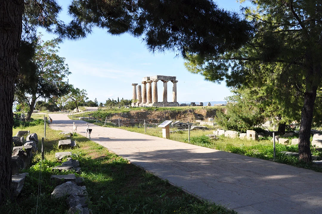 View of the archaeological site of ancient Corinth with three stray dogs walking in front of the temple of Apollo.