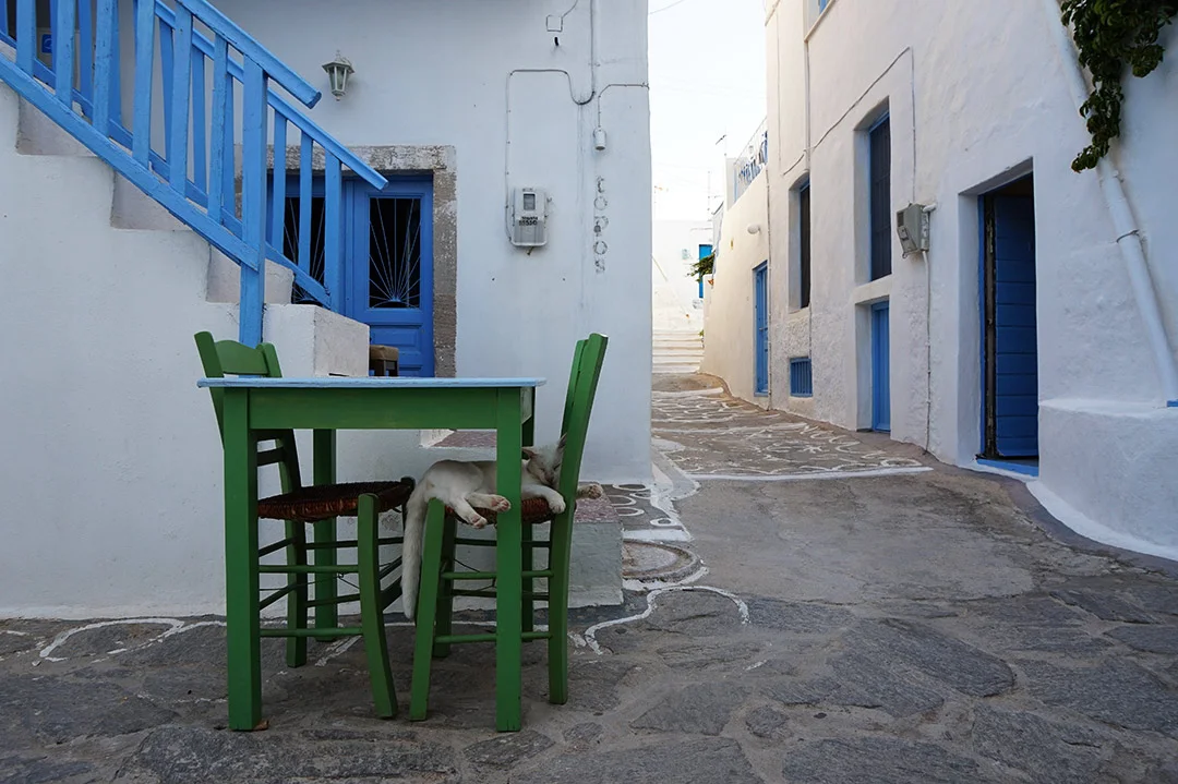 Cat sleeping on a chair at Kimolos Island in Greece