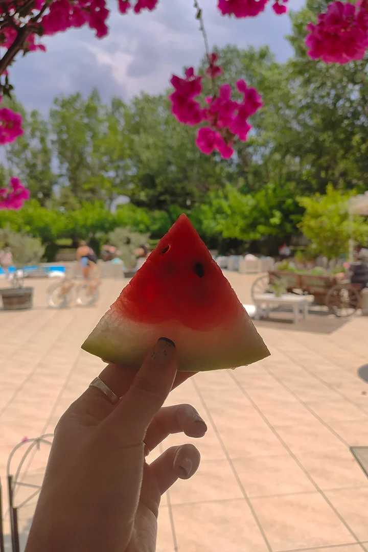 A slice of watermelon